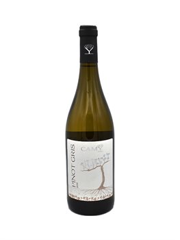 Camy - Pinot Gris 2021